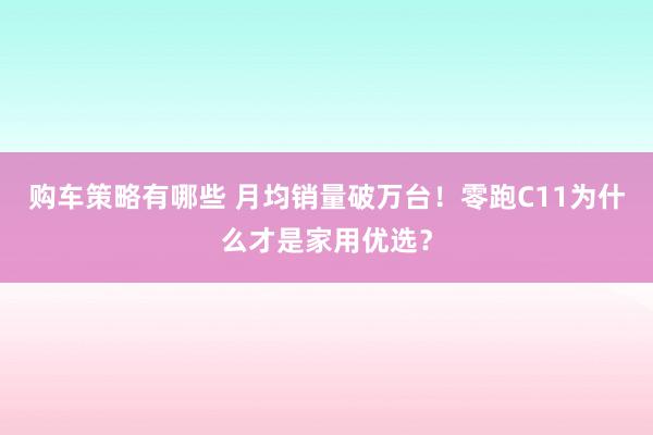 购车策略有哪些 月均销量破万台！零跑C11为什么才是家用优选？