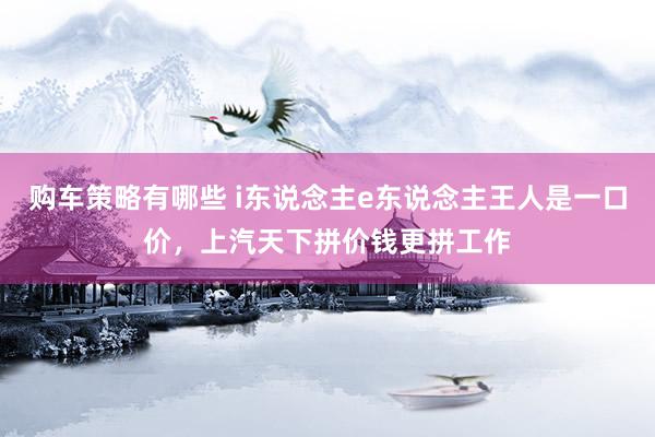 购车策略有哪些 i东说念主e东说念主王人是一口价，上汽天下拼价钱更拼工作