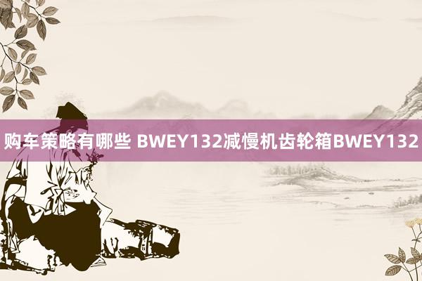 购车策略有哪些 BWEY132减慢机齿轮箱BWEY132