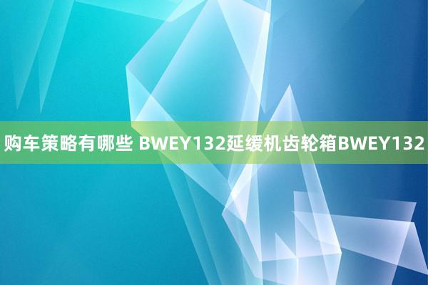 购车策略有哪些 BWEY132延缓机齿轮箱BWEY132