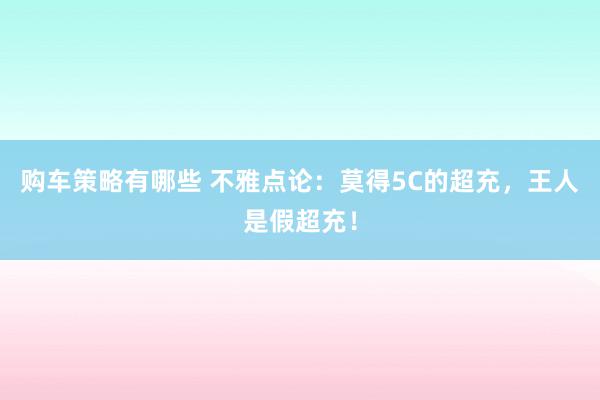 购车策略有哪些 不雅点论：莫得5C的超充，王人是假超充！