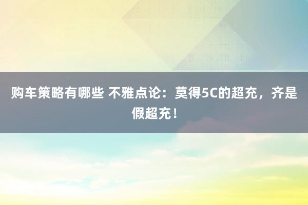 购车策略有哪些 不雅点论：莫得5C的超充，齐是假超充！