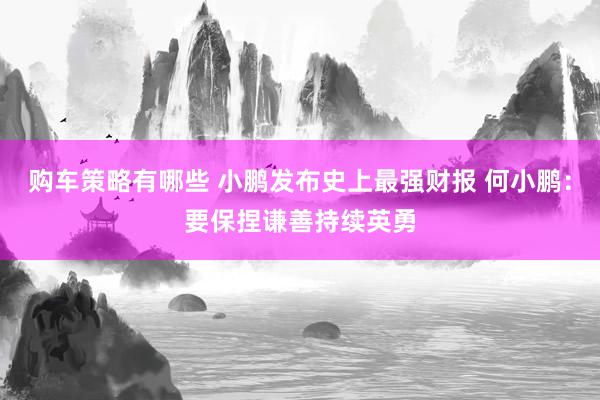 购车策略有哪些 小鹏发布史上最强财报 何小鹏：要保捏谦善持续英勇