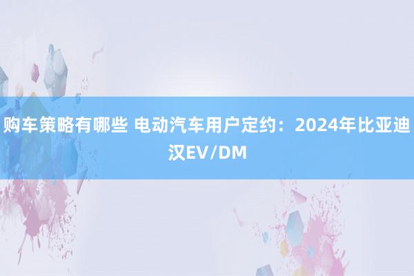 购车策略有哪些 电动汽车用户定约：2024年比亚迪汉EV/DM