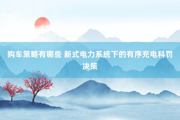 购车策略有哪些 新式电力系统下的有序充电科罚决策