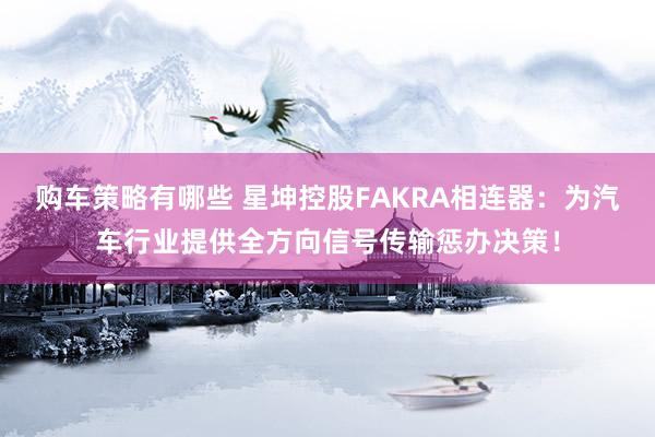 购车策略有哪些 星坤控股FAKRA相连器：为汽车行业提供全方向信号传输惩办决策！