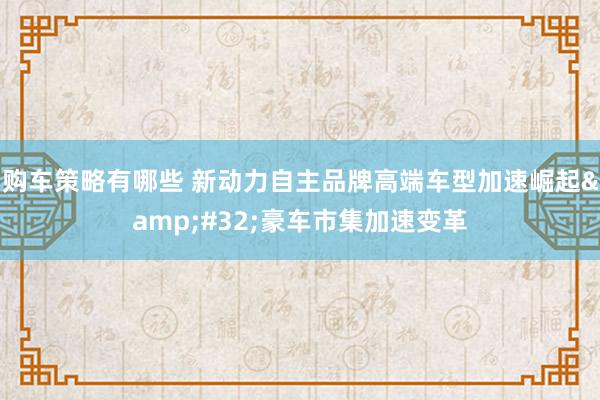 购车策略有哪些 新动力自主品牌高端车型加速崛起&#32;豪车市集加速变革