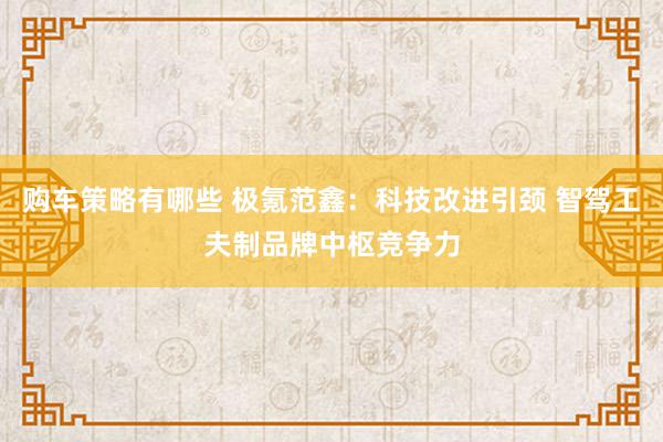 购车策略有哪些 极氪范鑫：科技改进引颈 智驾工夫制品牌中枢竞争力