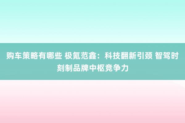 购车策略有哪些 极氪范鑫：科技翻新引颈 智驾时刻制品牌中枢竞争力