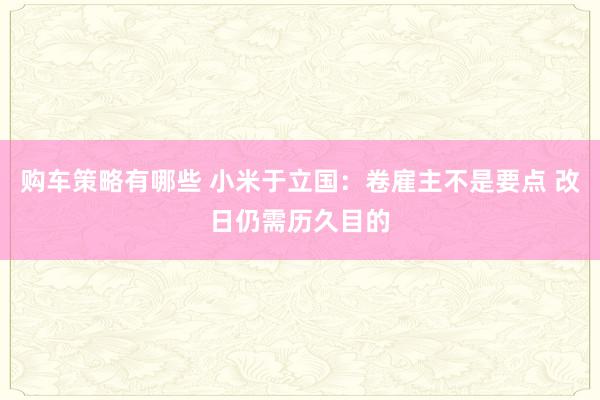 购车策略有哪些 小米于立国：卷雇主不是要点 改日仍需历久目的