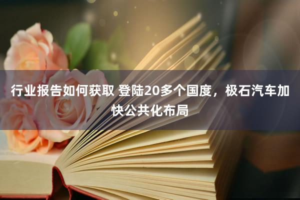 行业报告如何获取 登陆20多个国度，极石汽车加快公共化布局