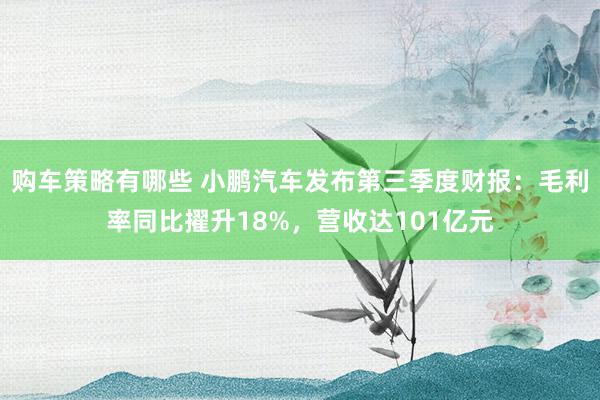 购车策略有哪些 小鹏汽车发布第三季度财报：毛利率同比擢升18%，营收达101亿元