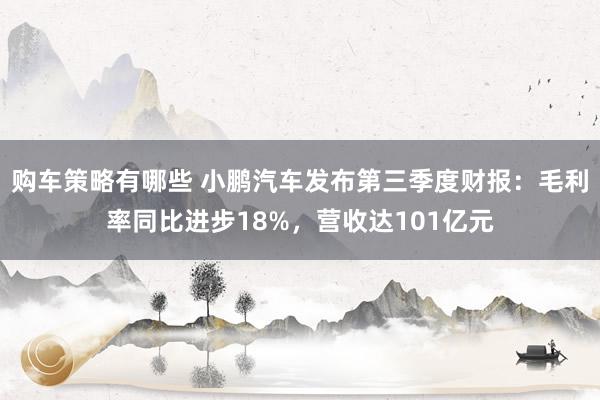 购车策略有哪些 小鹏汽车发布第三季度财报：毛利率同比进步18%，营收达101亿元