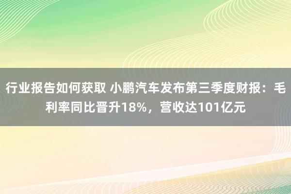 行业报告如何获取 小鹏汽车发布第三季度财报：毛利率同比晋升18%，营收达101亿元