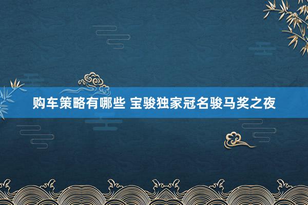 购车策略有哪些 宝骏独家冠名骏马奖之夜