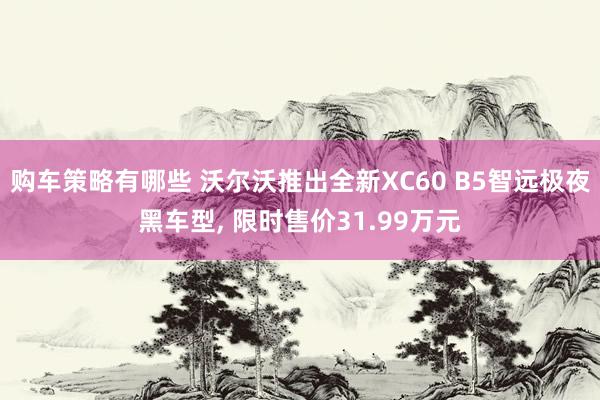 购车策略有哪些 沃尔沃推出全新XC60 B5智远极夜黑车型, 限时售价31.99万元