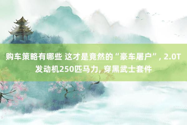 购车策略有哪些 这才是竟然的“豪车屠户”, 2.0T发动机250匹马力, 穿黑武士套件