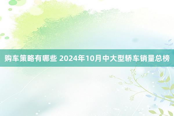 购车策略有哪些 2024年10月中大型轿车销量总榜