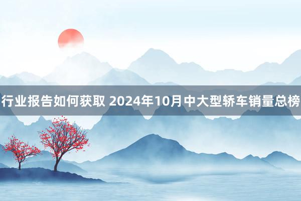 行业报告如何获取 2024年10月中大型轿车销量总榜