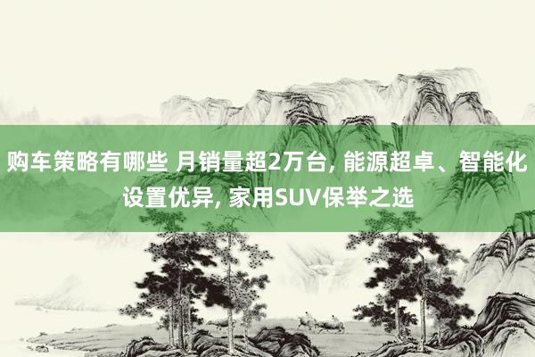 购车策略有哪些 月销量超2万台, 能源超卓、智能化设置优异, 家用SUV保举之选