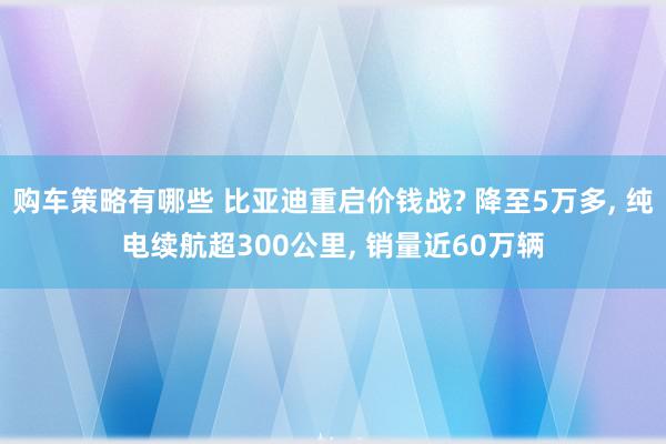 购车策略有哪些 比亚迪重启价钱战? 降至5万多, 纯电续航超300公里, 销量近60万辆