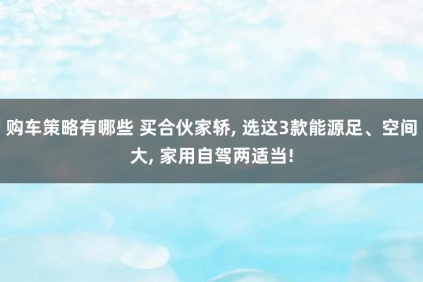 购车策略有哪些 买合伙家轿, 选这3款能源足、空间大, 家用自驾两适当!