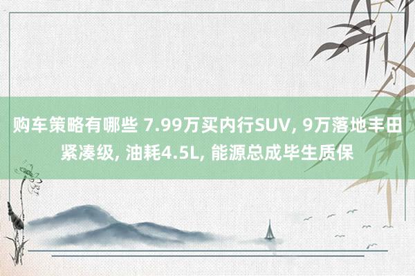 购车策略有哪些 7.99万买内行SUV, 9万落地丰田紧凑级, 油耗4.5L, 能源总成毕生质保