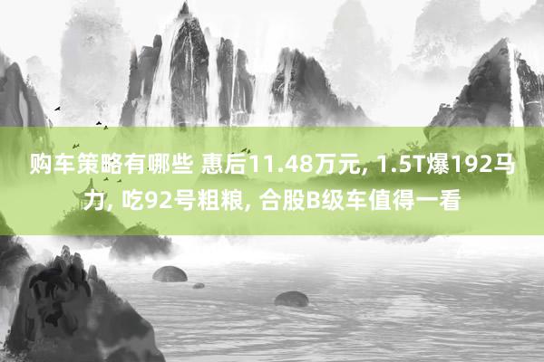 购车策略有哪些 惠后11.48万元, 1.5T爆192马力, 吃92号粗粮, 合股B级车值得一看