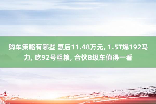 购车策略有哪些 惠后11.48万元, 1.5T爆192马力, 吃92号粗粮, 合伙B级车值得一看