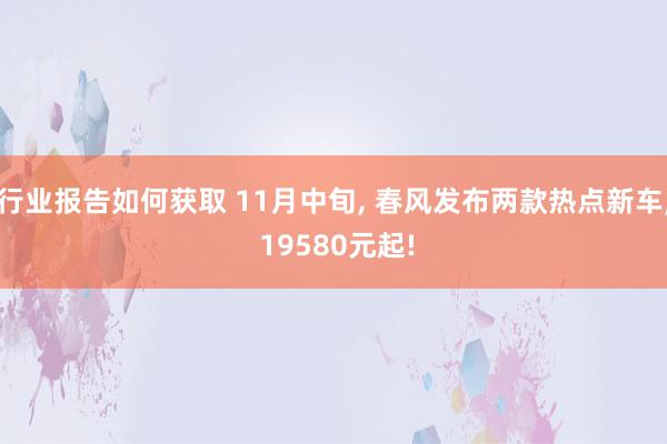 行业报告如何获取 11月中旬, 春风发布两款热点新车, 19580元起!