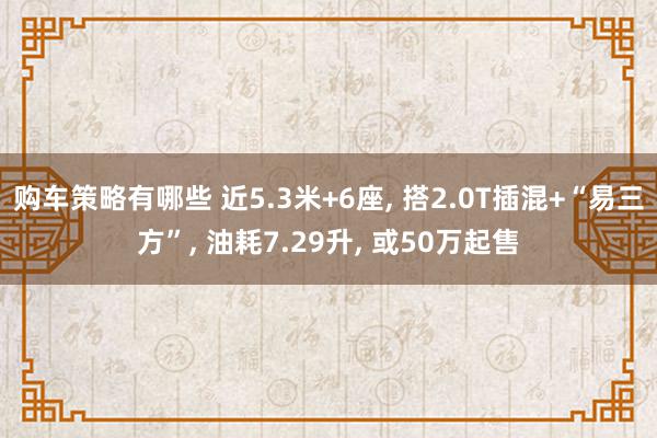 购车策略有哪些 近5.3米+6座, 搭2.0T插混+“易三方”, 油耗7.29升, 或50万起售