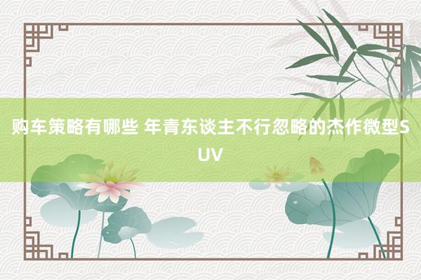 购车策略有哪些 年青东谈主不行忽略的杰作微型SUV