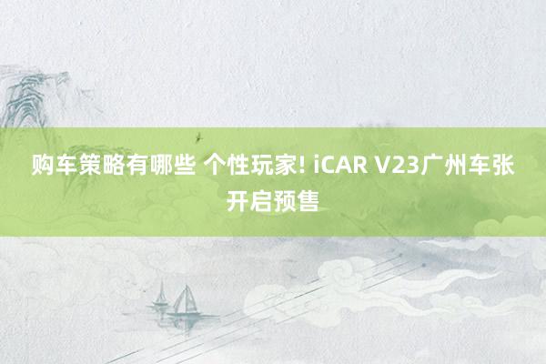 购车策略有哪些 个性玩家! iCAR V23广州车张开启预售