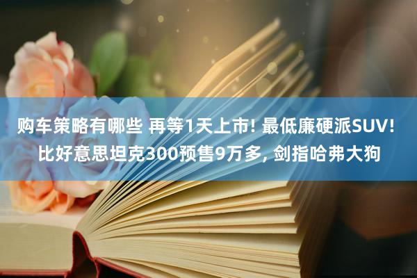 购车策略有哪些 再等1天上市! 最低廉硬派SUV! 比好意思坦克300预售9万多, 剑指哈弗大狗