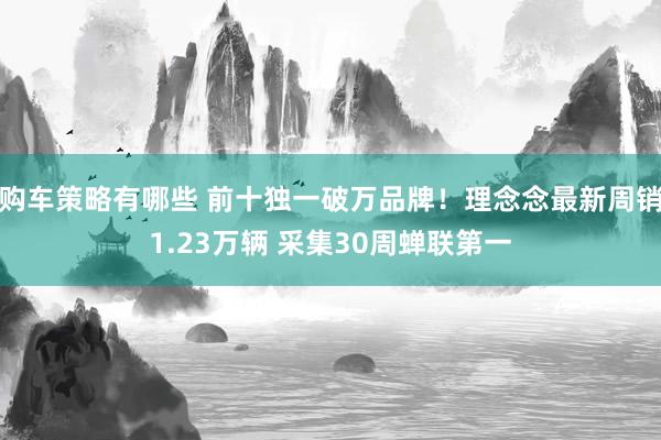 购车策略有哪些 前十独一破万品牌！理念念最新周销1.23万辆 采集30周蝉联第一