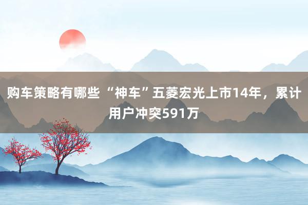 购车策略有哪些 “神车”五菱宏光上市14年，累计用户冲突591万