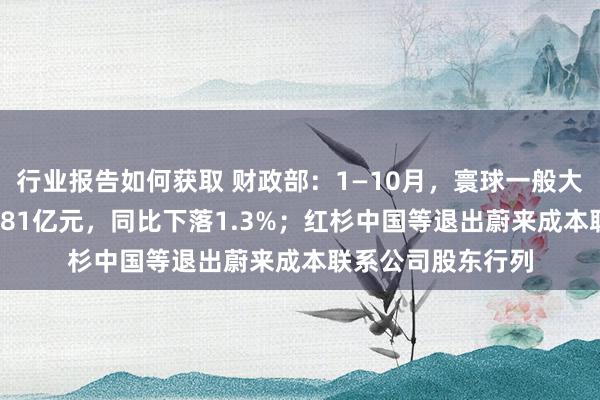 行业报告如何获取 财政部：1—10月，寰球一般大家预算收入184981亿元，同比下落1.3%；红杉中国等退出蔚来成本联系公司股东行列