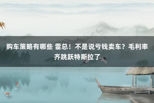 购车策略有哪些 雷总！不是说亏钱卖车？毛利率齐跳跃特斯拉了