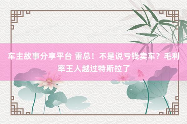 车主故事分享平台 雷总！不是说亏钱卖车？毛利率王人越过特斯拉了