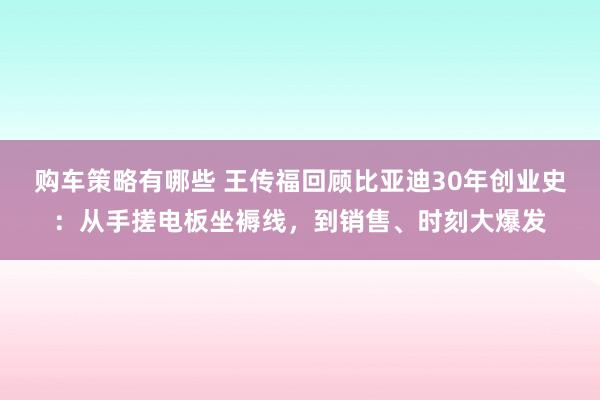 购车策略有哪些 王传福回顾比亚迪30年创业史：从手搓电板坐褥线，到销售、时刻大爆发