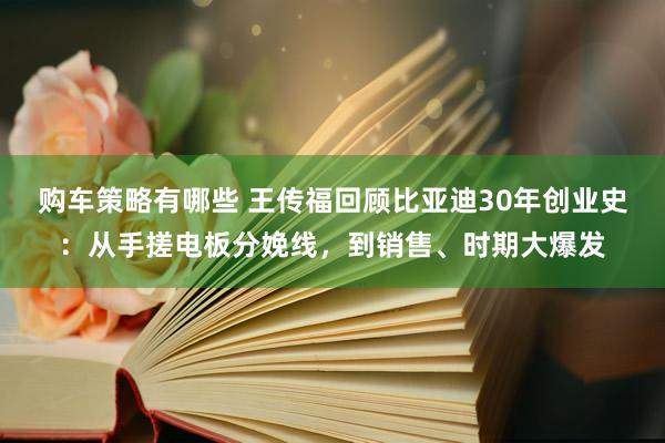 购车策略有哪些 王传福回顾比亚迪30年创业史：从手搓电板分娩线，到销售、时期大爆发