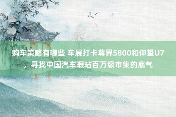 购车策略有哪些 车展打卡尊界S800和仰望U7，寻找中国汽车瑕玷百万级市集的底气