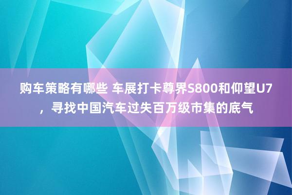 购车策略有哪些 车展打卡尊界S800和仰望U7，寻找中国汽车过失百万级市集的底气