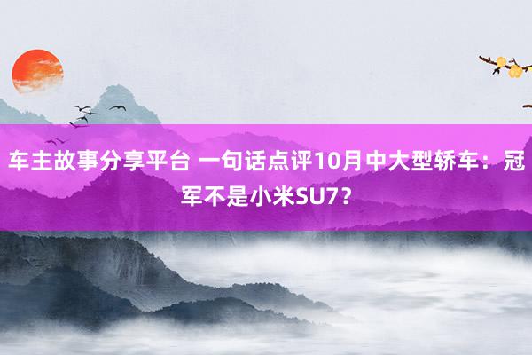 车主故事分享平台 一句话点评10月中大型轿车：冠军不是小米SU7？