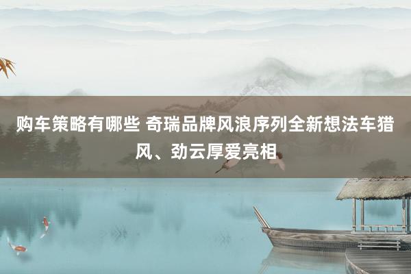 购车策略有哪些 奇瑞品牌风浪序列全新想法车猎风、劲云厚爱亮相