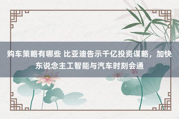 购车策略有哪些 比亚迪告示千亿投资谋略，加快东说念主工智能与汽车时刻会通