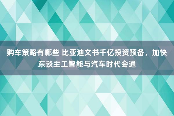 购车策略有哪些 比亚迪文书千亿投资预备，加快东谈主工智能与汽车时代会通