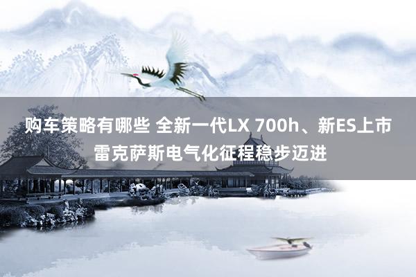 购车策略有哪些 全新一代LX 700h、新ES上市 雷克萨斯电气化征程稳步迈进