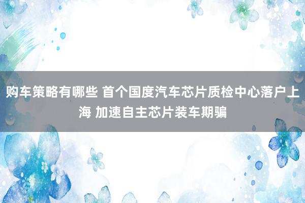 购车策略有哪些 首个国度汽车芯片质检中心落户上海 加速自主芯片装车期骗