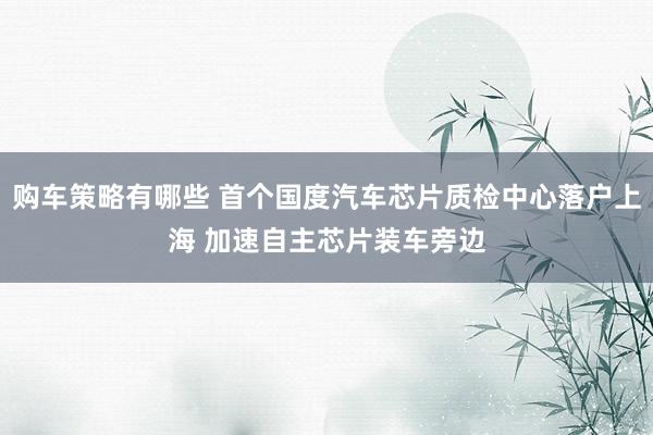 购车策略有哪些 首个国度汽车芯片质检中心落户上海 加速自主芯片装车旁边